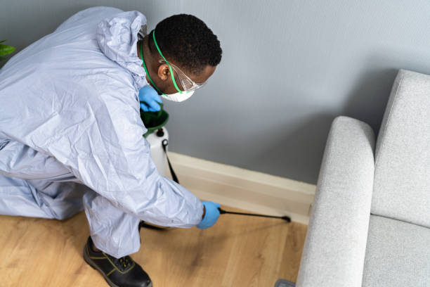 Best Termite Inspection and Treatment  in Waverly, OH